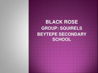 BLACK ROSE GROUP: SQUIRELS BEYTEPE SECONDARY SCHOOL