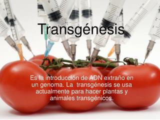 Transgénesis