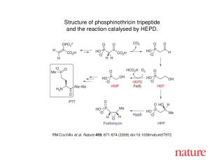 RM Cicchillo et al. Nature 459 , 871-874 (2009) doi:10.1038/nature07972