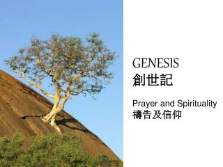 GENESIS 創世記 Prayer and Spirituality 禱告及信仰