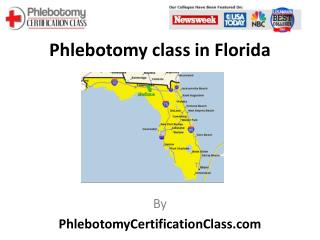 Phlebotomy Class in Florida