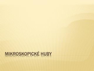 Mikroskopické huby