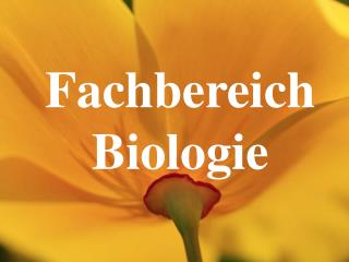 Fachbereich Biologie