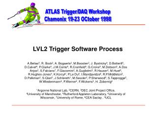 LVL2 Trigger Software Process