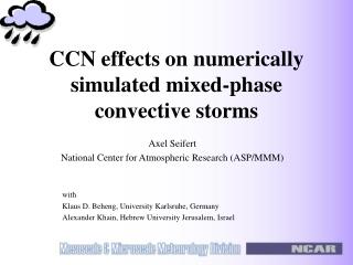 CCN effects on numerically simulated mixed-phase convective storms