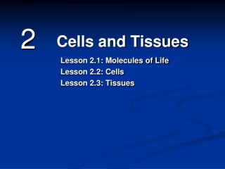 Lesson 2.1: Molecules of Life Lesson 2.2: Cells Lesson 2.3: Tissues