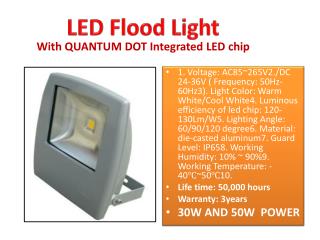 LED Flood Light