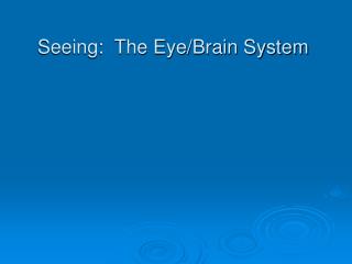 Seeing: The Eye/Brain System