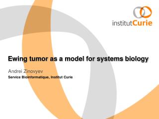 Ewing tumor as a model for systems biology