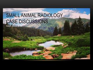 SMALL ANIMAL RADIOLOGY CASE DISCUSSIONS Sarah Jones, DVM