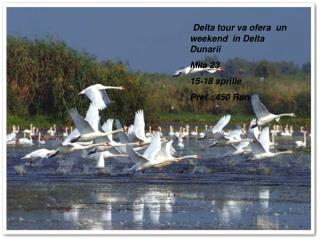 Delta tour va ofera un weekend in Delta Dunarii Mila 23 15-18 aprilie Pret : 450 Ron