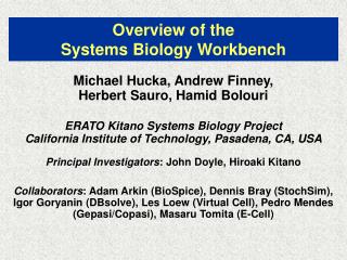 Overview of the Systems Biology Workbench