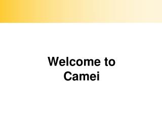 Welcome to Camei