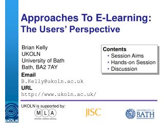 Approaches To E-Learning: The Users’ Perspective