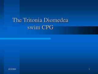 The Tritonia Diomedea swim CPG