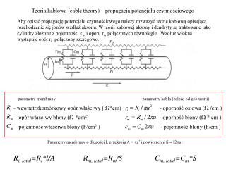 Teoria kablowa (cable theory) – propagacja potencjału czynnościowego