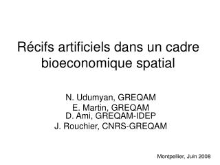 Récifs artificiels dans un cadre bioeconomique spatial