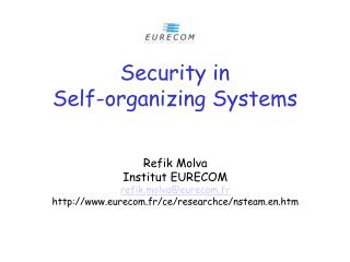 Security in Self-organizing Systems