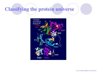 Classifying the protein universe