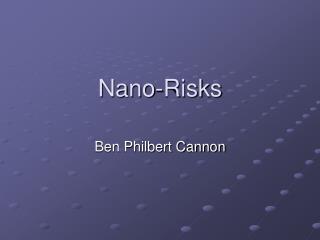 Nano-Risks