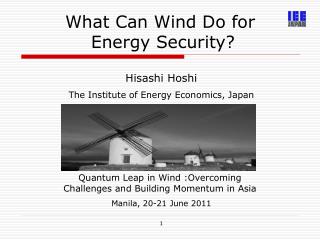 What Can Wind Do for Energy Security?