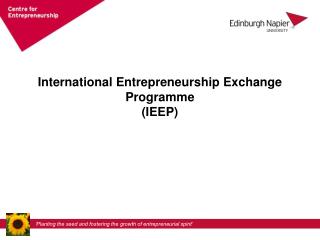 International Entrepreneurship Exchange Programme (IEEP)