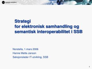 Strategi for elektronisk samhandling og semantisk interoperabilitet i SSB