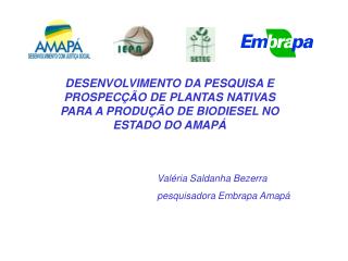 Valéria Saldanha Bezerra pesquisadora Embrapa Amapá