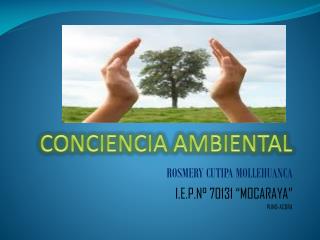 CONCIENCIA AMBIENTAL