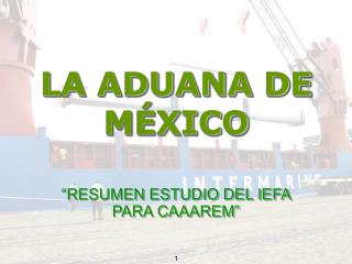 LA ADUANA DE MÉXICO