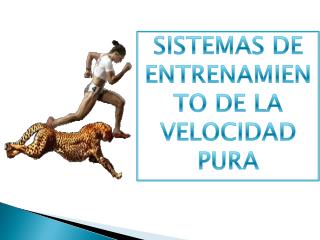 SISTEMAS DE ENTRENAMIENTO DE LA VELOCIDAD PURA