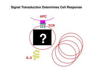 TCR