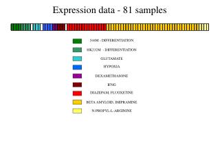 544M - DIFFERENTIATION