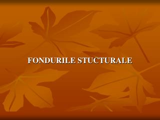 FONDURILE STUCTURALE