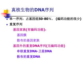 真核生物的 DNA 序列