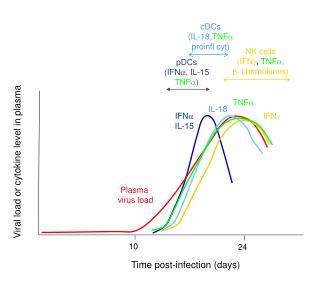 Time post-infection (days)