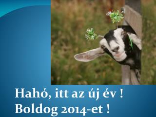 Hahó, itt az új év ! Boldog 2014-et !