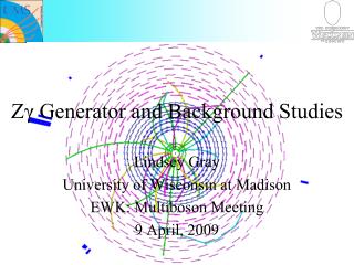 Zγ Generator and Background Studies