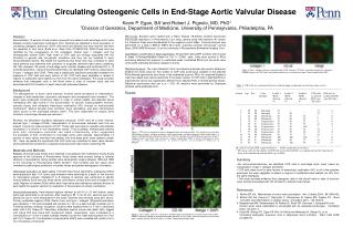 Circulating Osteogenic Cells in End-Stage Aortic Valvular Disease