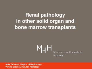 Renal pathology in other solid organ and bone marrow transplants