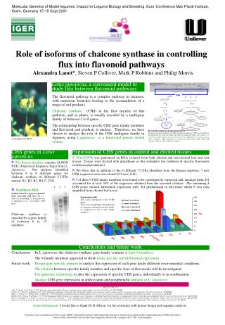 Role of isoforms of chalcone synthase in controlling flux into flavonoid pathways