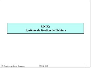 UNIX: Système de Gestion de Fichiers