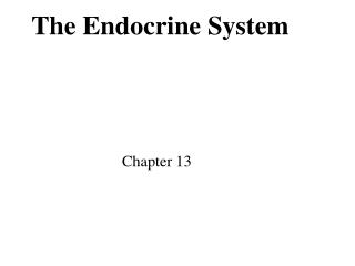 The Endocrine System