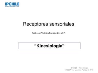 Receptores sensoriales Professor: Verónica Pantoja . Lic. MSP.
