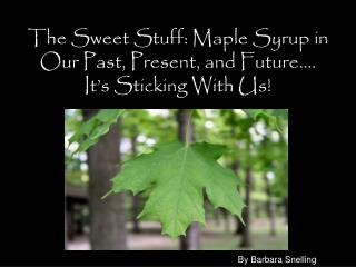 The Sweet Stuff: Maple Syrup in Our Past, Present, and Future…. It’s Sticking With Us!