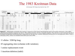 The 1983 Kreitman Data (M. Kreitman 1983 Nature) from Hartl &amp; Clark, 1997