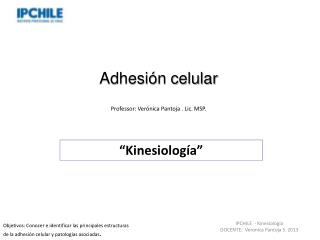 Adhesión celular Professor : Verónica Pantoja . Lic. MSP.