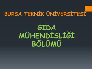 BURSA TEKNİK ÜNİVERSİTESİ