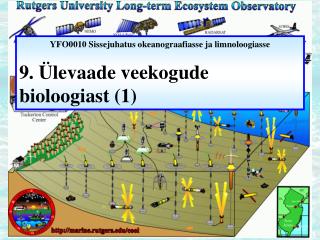 YFO0010 Sissejuhatus okeanograafiasse ja limnoloogiasse 9. Ülevaade veekogude bioloogiast (1)