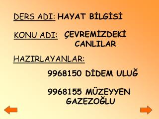 9968155 MÜZEYYEN GAZEZOĞLU